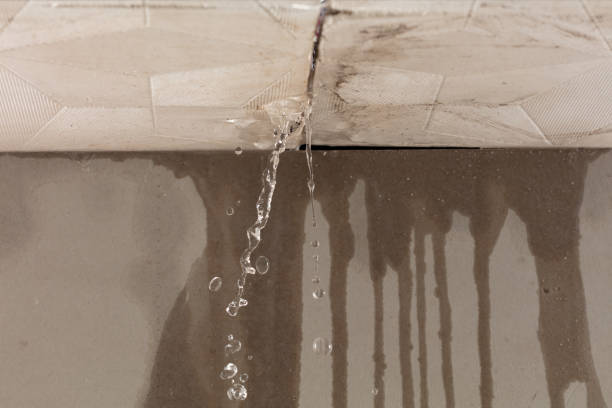 Professional Burst Pipe Cleanup technician working in Columbia, KY